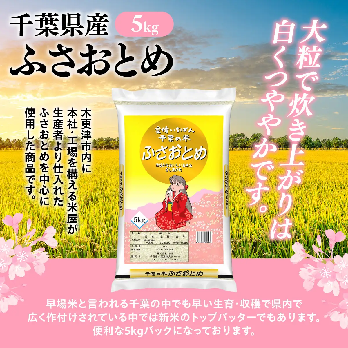 【最短2～7営業日にて出荷】令和8年度産  千葉県産  「ふさおとめ」  10kg  (5kg×2)  KCV006