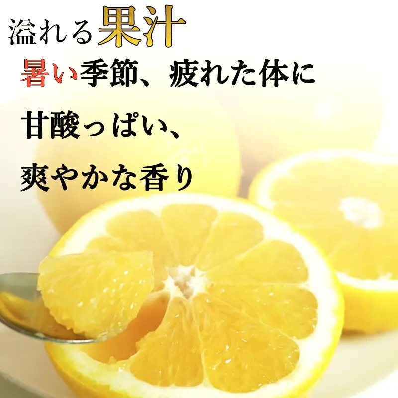 【先行予約】 訳あり 河内晩柑 5kg 愛媛県産 河内晩柑