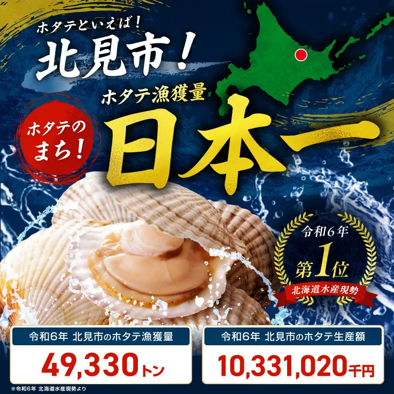 北海道オホーツク海産 ホタテ貝柱 600g 生食用 ( ほたて 刺身 ホタテ )【239-0003】