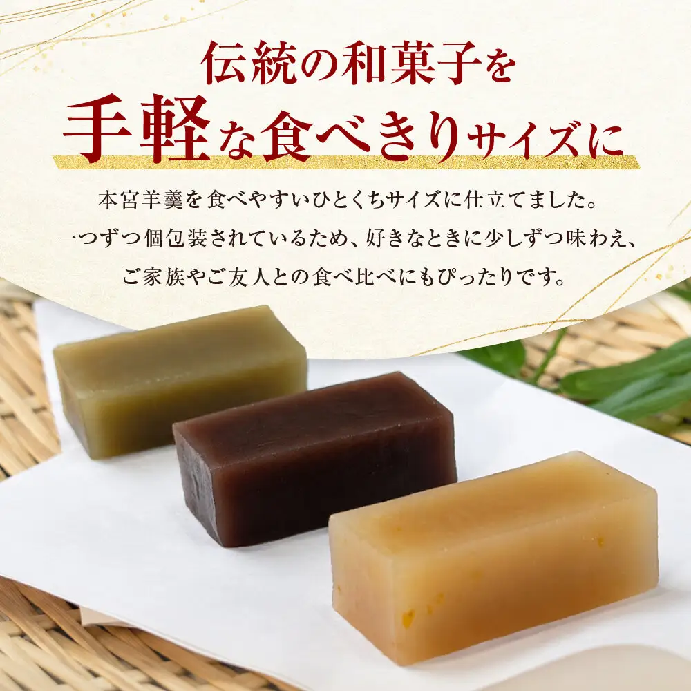 那須煉菓本宮　10種10個入り ×２