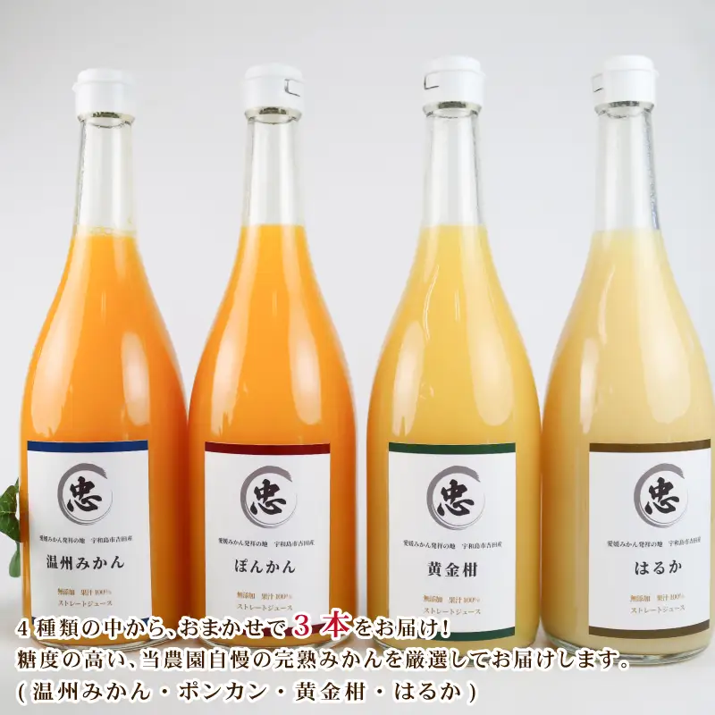 旬のみかんジュース 720ml × 3本 セット 丸忠農園 みかんジュース H012-210001