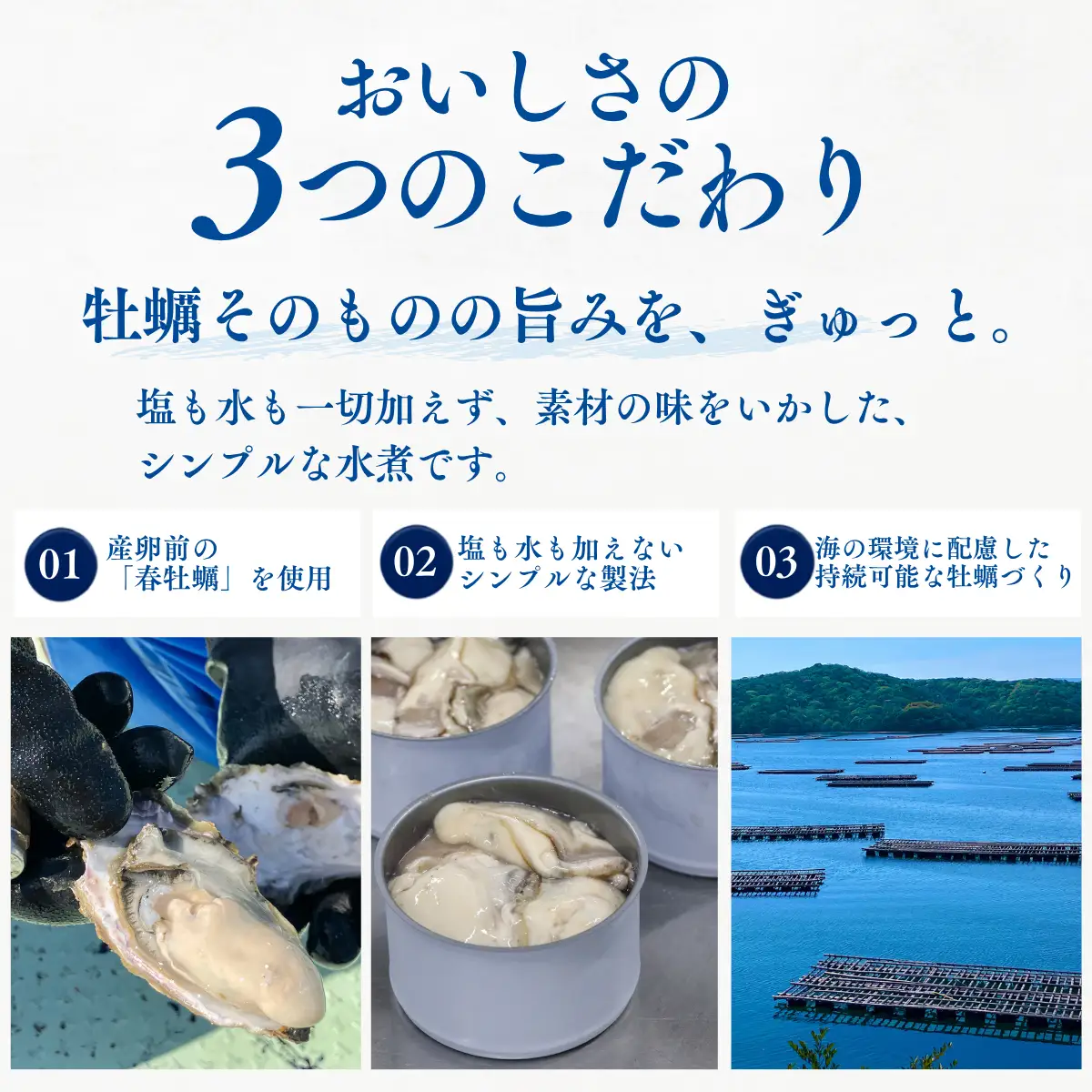 おくの牡蠣 缶詰 3缶 | 牡蠣 かき カキ 缶詰 缶詰め 缶 常温 岡山県 瀬戸内市 邑久町
