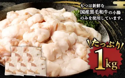 【2026年11月発送】 国産 牛もつ鍋 10人前 牛もつ たっぷり1,000g 冷凍ちゃんぽん 濃縮スープ付