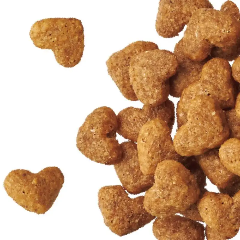 ビューティープロ ドッグ 成犬用 1歳から 720g ケース販売 ペットフード 犬 愛犬 ペット ペット用品 犬用 愛犬用 ごはん 静岡 袋井市