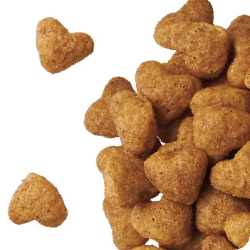 ビューティープロ ドッグ 10歳以上 660g ケース販売 ペットフード 犬 愛犬 ペット ペット用品 犬用 愛犬用 ごはん 静岡 袋井市
