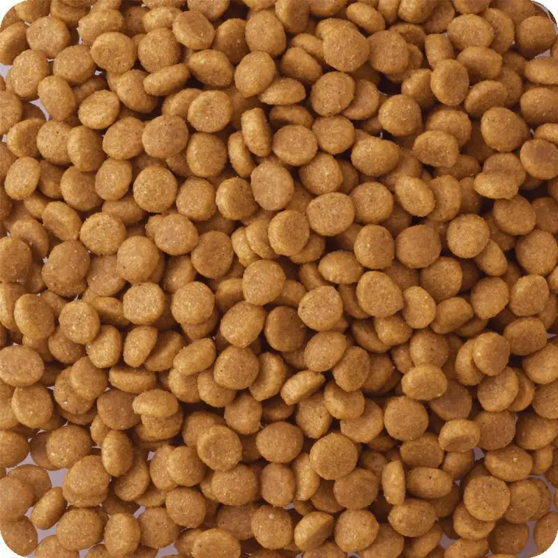 ビタワン 国産チキンのレシピ 成犬用 1.5kg ケース販売 ペットフード 犬 愛犬 ペット ペット用品 犬用 愛犬用 ごはん 静岡 袋井市
