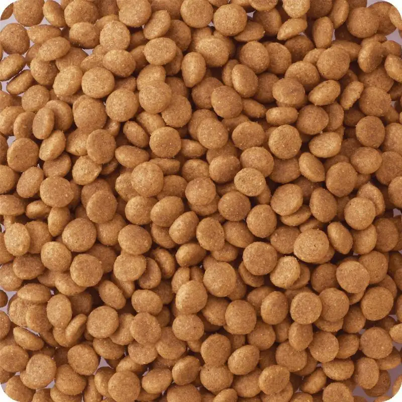 ビタワン 食物アレルゲンに配慮 成犬用 150g ケース販売 ペットフード 犬 愛犬 ペット ペット用品 犬用 愛犬用 ごはん 静岡 袋井市