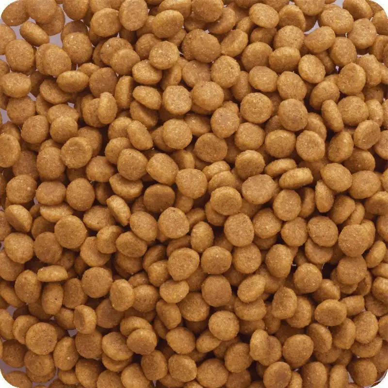 ビタワン 国産チキンのレシピ 10歳以上 1.4kg ケース販売 ペットフード 犬 愛犬 ペット ペット用品 犬用 愛犬用 ごはん 静岡 袋井市