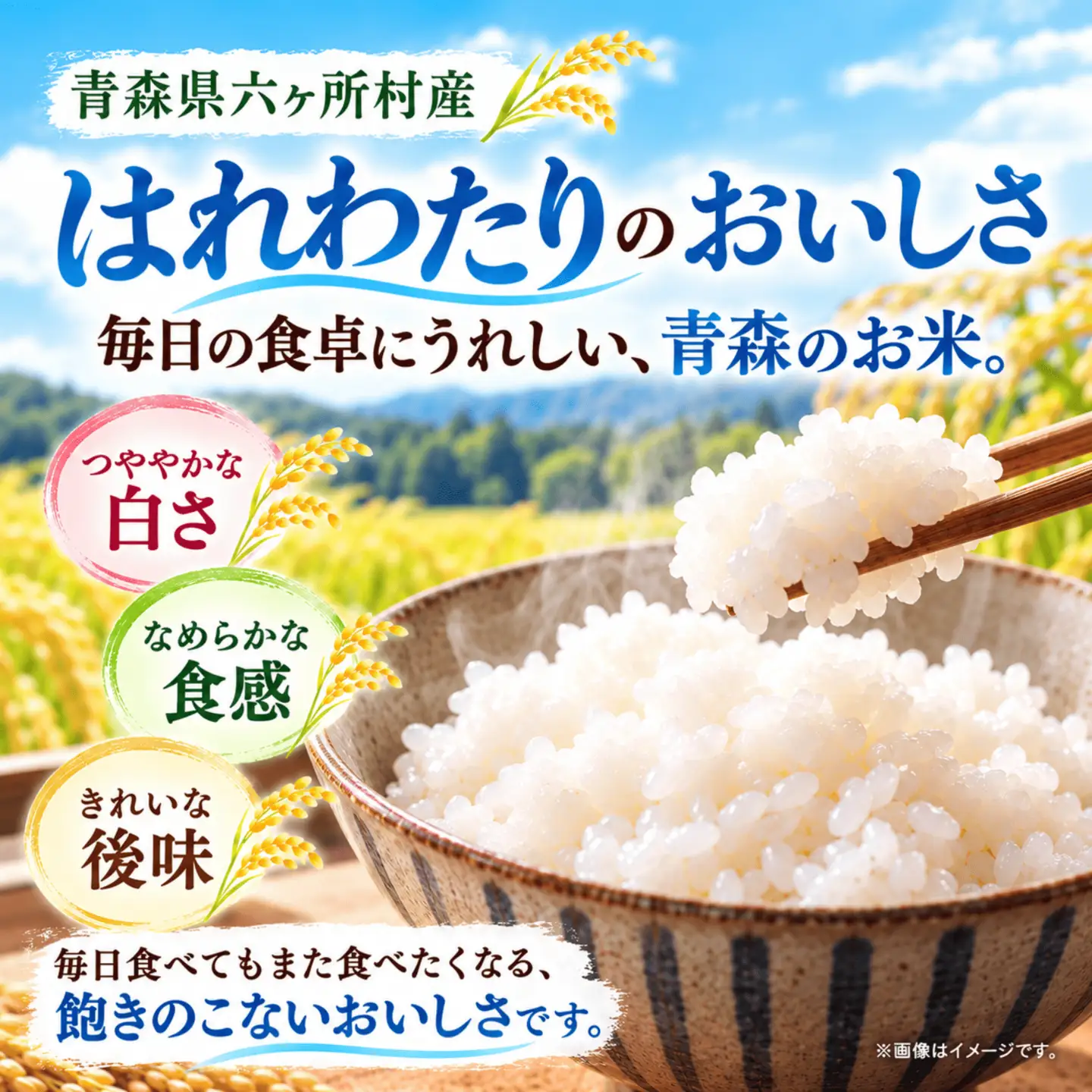 青森県　六ヶ所村産　はれわたり　精米10kg