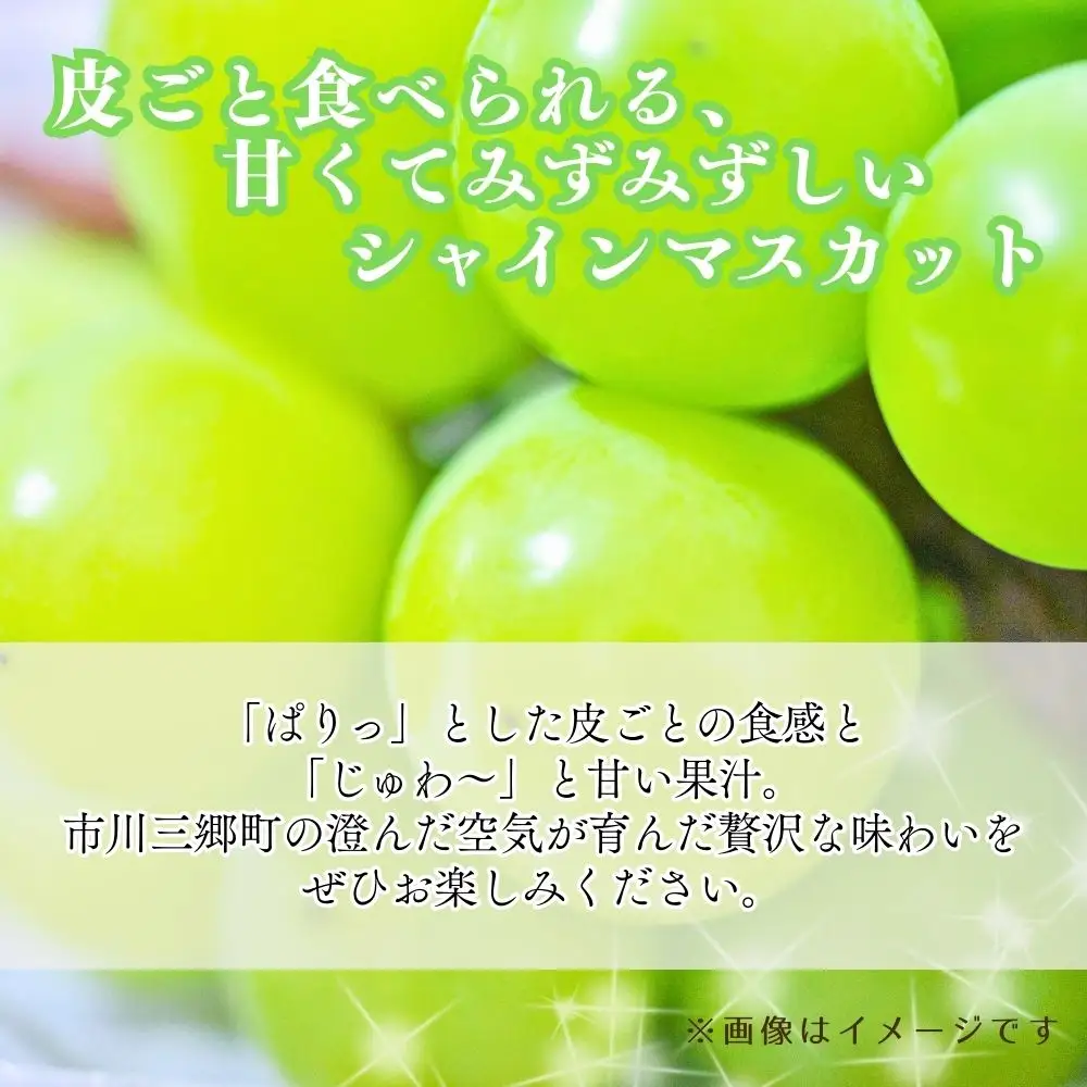 シャインマスカット 【2027年発送】秀品 山梨 2房 (約1.1kg) ぶどう 葡萄 山梨県 フルーツ 果物 くだもの ギフト 産地直送 人気  Inakakara厳選 [5839-1978]