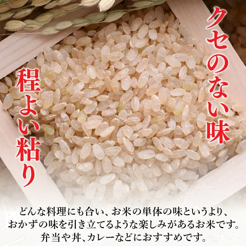 【令和8年産】定期便 ≪3ヶ月連続お届け≫ 特別栽培米 あきさかり 玄米 10kg×3回（計30kg） 化学肥料不使用 / 玄米 米 福井県あわら市産 美味しい 安心な米 旨味 甘み もっちり エコファーマー 冷蔵保管米 冷めても美味しい [aw010-d009]