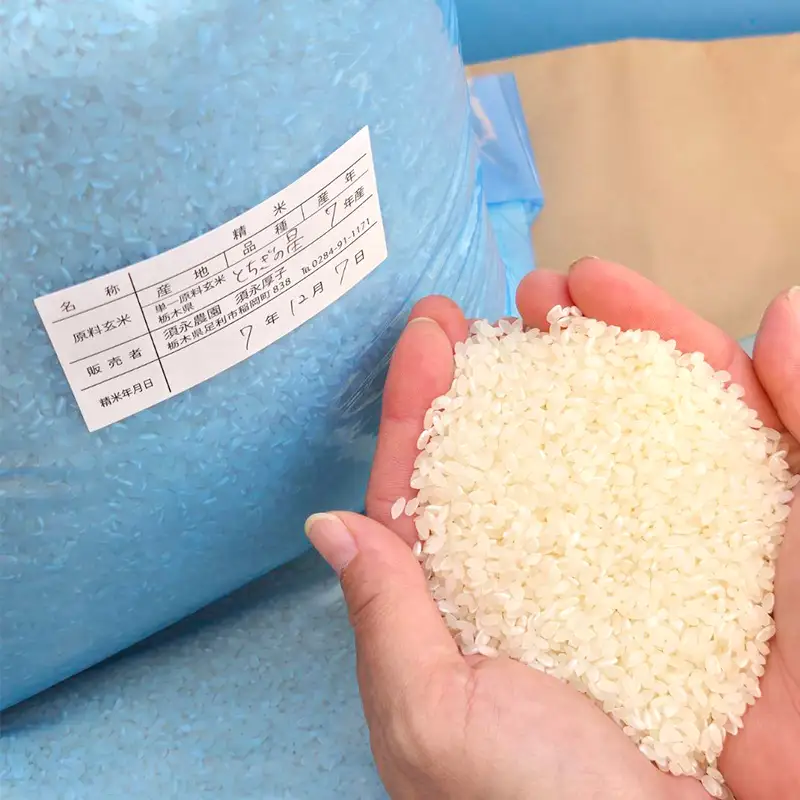 令和8年産 新米 栃木県足利市産とちぎの星5kg 精米 白米 米 こめ ごはん 食品 栃木県 足利市  F7Z-2019