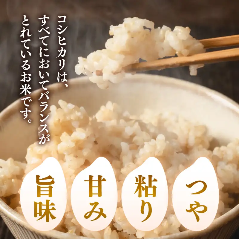 【令和8年産】定期便 ≪6ヶ月連続お届け≫ 特別栽培米 コシヒカリ 玄米 5kg×6回（計30kg） 化学肥料不使用 / 米 福井県 あわら市産 美味しい 特別栽培米 減農薬 安心な米 旨味 甘み もっちり 冷蔵保管米 [aw010-e005]