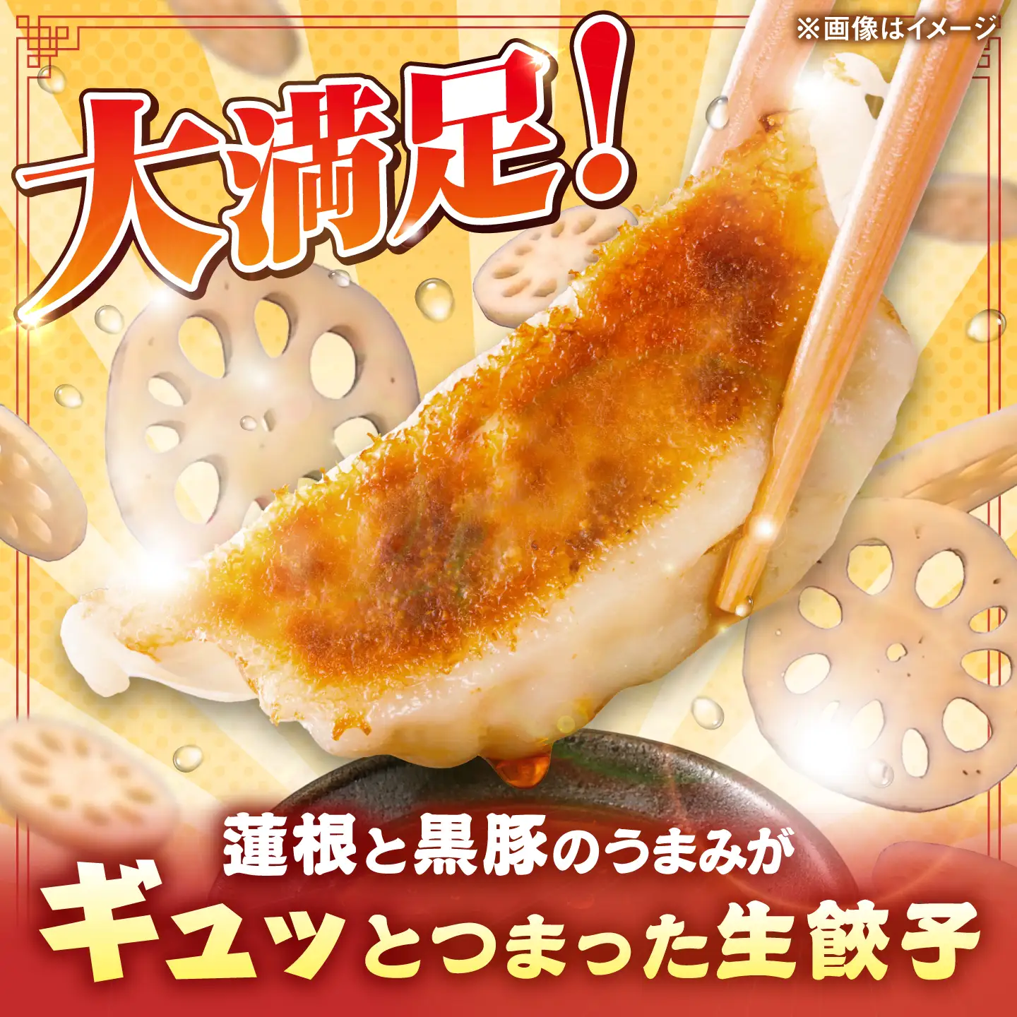 蓮根と黒豚の生餃子12個入り×5パック / 餃子 ぎょうざ れんこん / 佐賀県 / 佐賀冷凍食品株式会社 [41AHBI008]