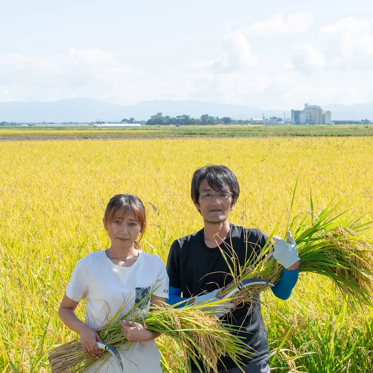 令和8年産 新米【定期便6ヶ月】はえぬき 無洗米 5kg×6ヶ月 山形県鶴岡市産　K-827 殿や