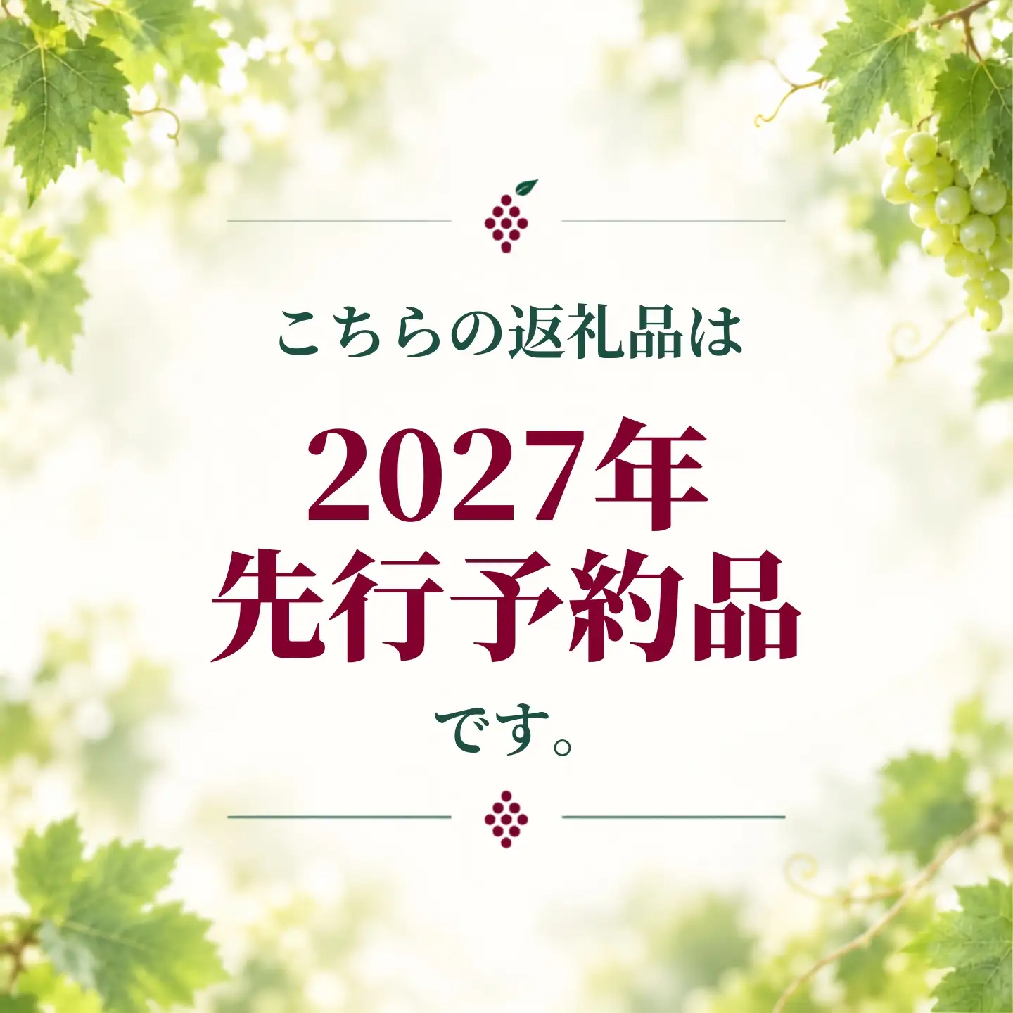 【2027年 先行予約】 山梨県 都留市産  ぶどう ナガノパープル