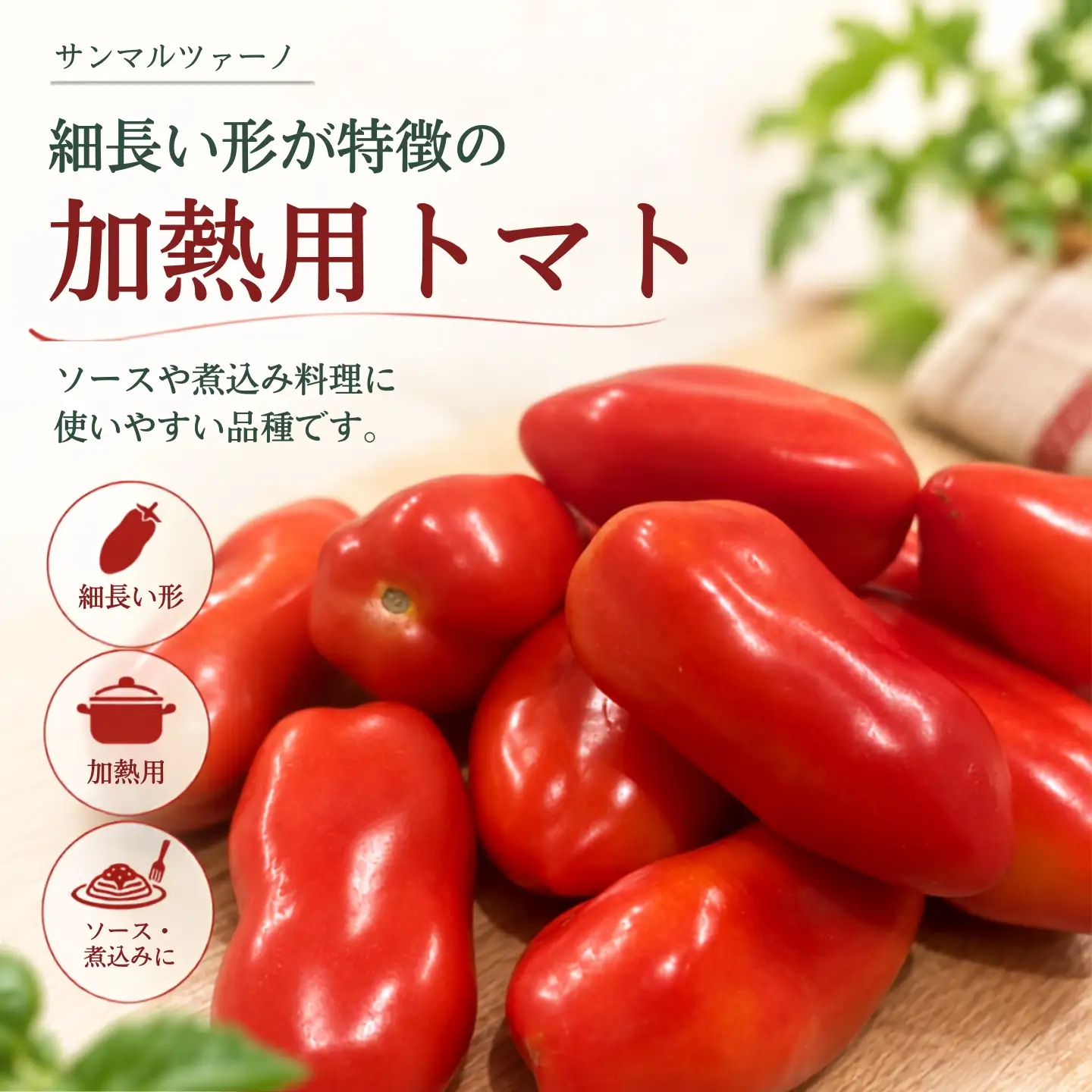 【2027年先行予約】山梨県都留市産 加熱用トマト サンマルツァーノ 約1kg