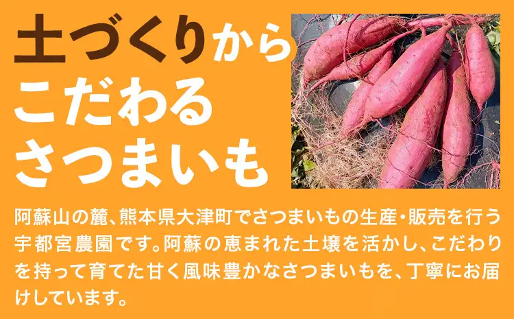 熟成 さつまいも 紅はるか 5kg S～2L 宇都宮農園《11月上旬-3月末頃出荷》