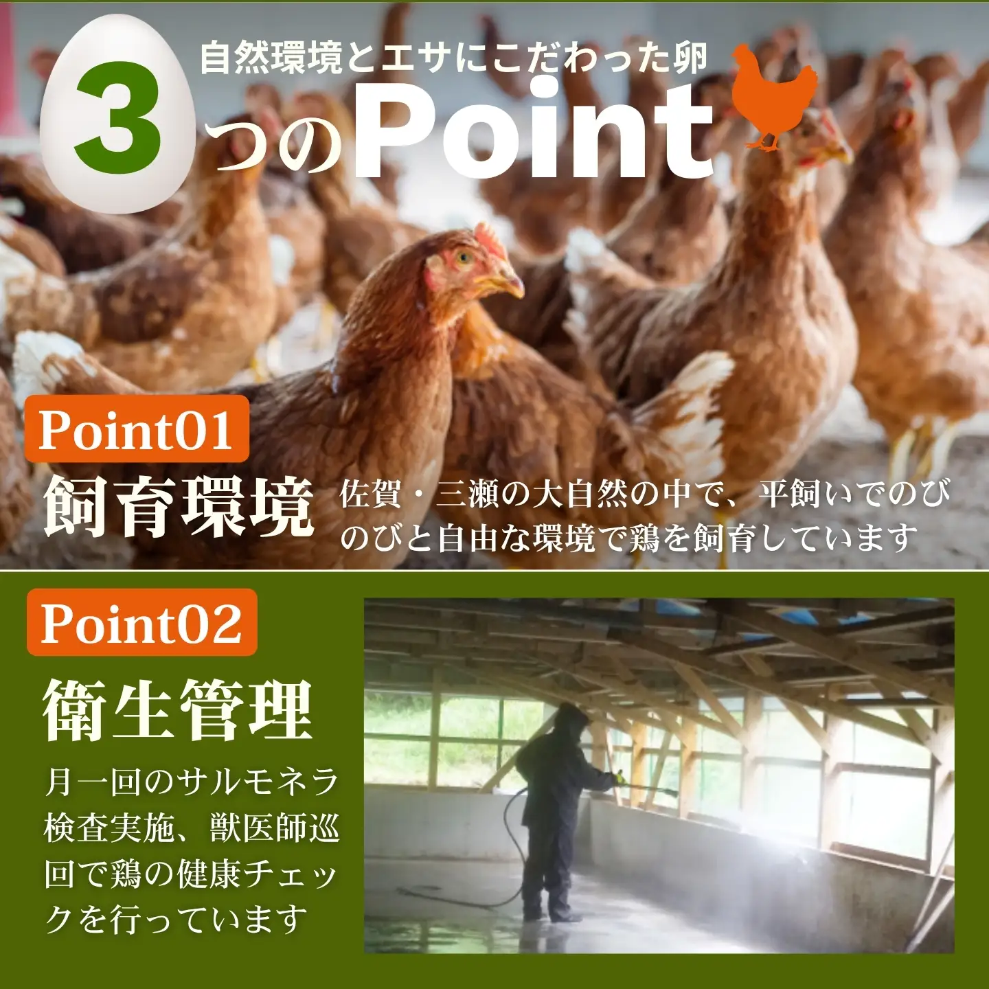 平飼いたまご 三瀬ひなた鶏舎 「壮健美卵」6個入り×6パック【うち割れ保証5個】：B125-032