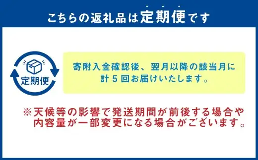 【 年5回定期便 】 旬の時期に旬の美味しいくまもとモンが届く！くまもとぐるっと道の駅定期便 定期便 野菜 やさい 有機野菜 果物 フルーツ 旬 詰め合わせ 詰合せ セット 特産品 特産物