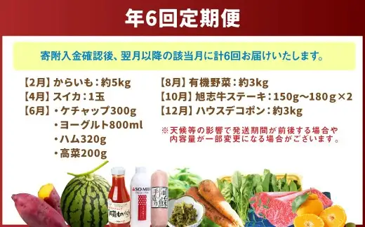 【 年6回定期便 】 旬の時期に旬の美味しいくまもとモンが届く！くまもとぐるっと道の駅定期便 定期便 野菜 やさい 有機野菜 果物 フルーツ 旬 詰め合わせ 詰合せ セット 特産品 特産物