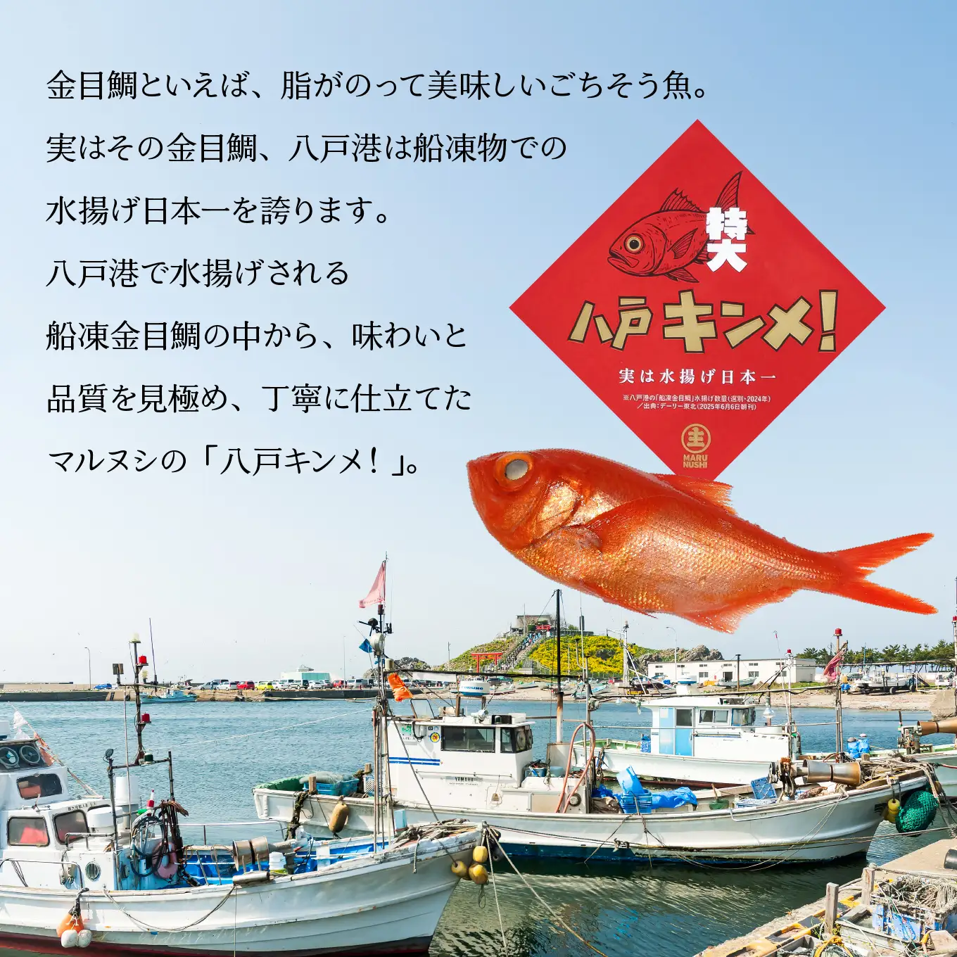 マルヌシ 八戸キンメ！ 金目鯛の一夜干し 3パックセット 一尾まるごと 冷凍 八戸港 水揚げ 旨みたっぷり お祝い ごちそう 焼くだけ 八戸市 青森県