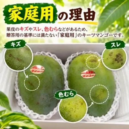 【2027年8月中旬より順次発送・家庭用】瀬底さんの幻のキーツマンゴー2kg(2～4玉)【1786013】