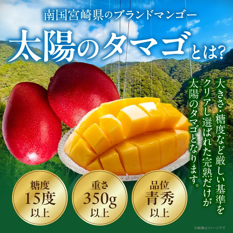【全2回お届け】太陽のタマゴ 3L×2玉［T21］定期便 フルーツ 果物 くだもの 2027年 完熟マンゴー 国産 宮崎マンゴー マンゴージュース 南国フルーツ おすすめ デザート ギフト 贈り物 プレゼント 冷蔵 綾町 送料無料_A0113-011