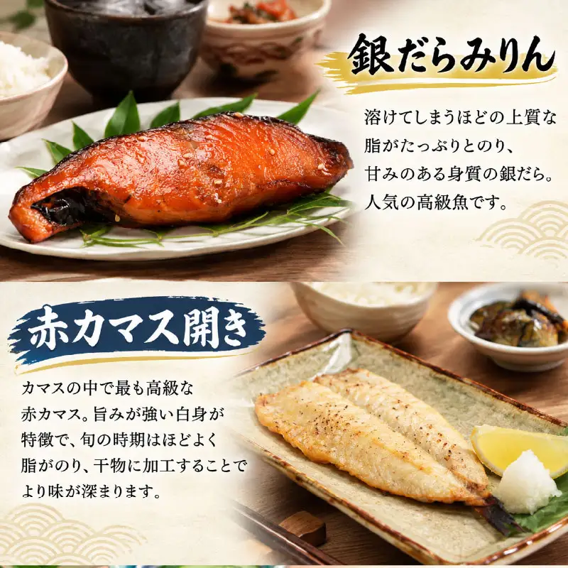 【銀だら入り】 長崎 ひもの セレクト 極 6種 詰め合わせ 銀ダラ TD005