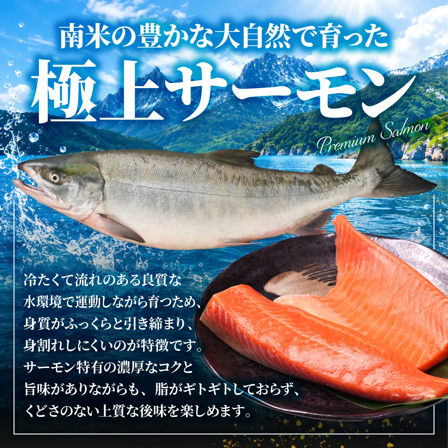 サーモン 1kg トラウトサーモン