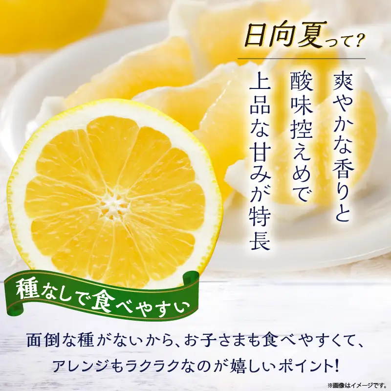 先行受付 初春の旬 日向夏 種なし 2kg ［H20］ 果物 フルーツ くだもの 2027年 柑橘 みかん 国産 フルーツサンド ジュース おやつ スイーツ デザート ジャム さわやかな甘み おすすめ ギフト 贈り物 贈答 ご褒美 おすそ分け お返し 宮崎県 綾町 送料無料_A0113-012