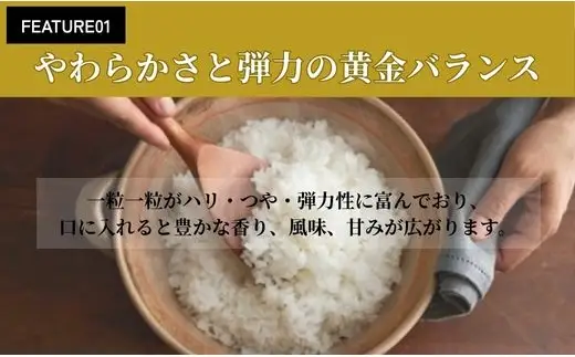 【2026年11月以降発送開始予定】会津産コシヒカリ 米でいいの田゛白米 5kg｜  会津産 米 お米 こめ コメ 精米 こしひかり