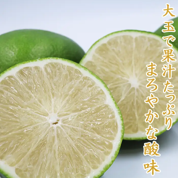 【鴨川の柑橘】まろやかな酸味とたっぷり果汁『璃の香レモン』５kg 《10月より発送開始》《数量限定》《先行予約》ちばエコ農産物 りのか リノカ 国産レモン 旬の柑橘 レモン 薄皮 草生栽培 低農薬 除草剤不使用 鴨川産 千葉県産 [安田園芸][0011-0085]