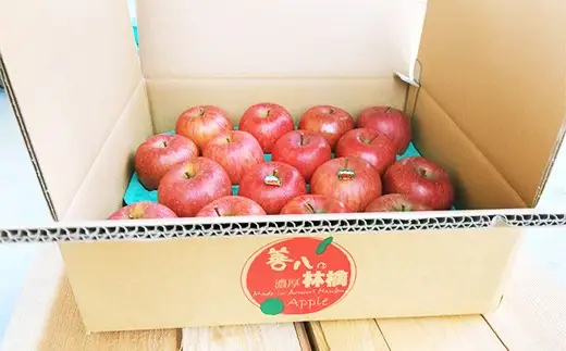 【訳あり】 濃厚りんご サンふじ 約3kg 【アグリーデザイン】 F21U-732