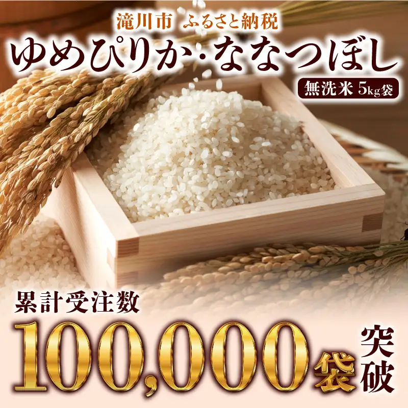 《R9年産先行予約》特A 北海道滝川産 ゆめぴりか無洗米10kg 9ヵ月定期便 お米マイスター 新米 単一米 産地限定米 ブランド米 北海道産 白米 精米 米 こめ コメ お米 ご飯 おにぎり 生活応援 道産 むせんまい 限定 贈答