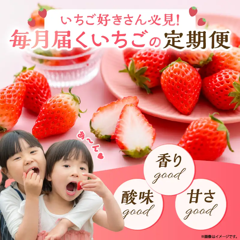 先行予約【全2回お届け】 いちご 定期便 合計1kg［I20］果物 フルーツ くだもの 2027年 青果 苺 イチゴ いちご大福 国産 おやつ スイーツ デザート おすすめ ジャム ジュース 甘い ジューシー ギフト おすそ分け 宮崎県 綾町 送料無料_A0113-013
