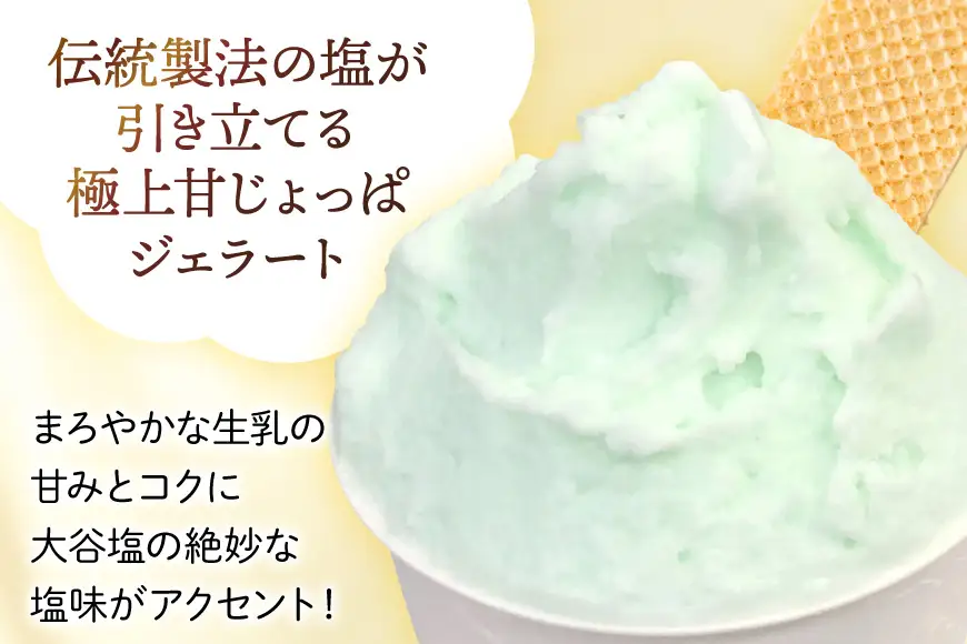 アイス ジェラート 奥能登の大谷塩 2L