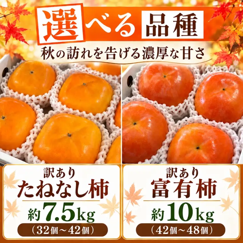 訳あり 富有柿 約10kg(42個～48個) 
