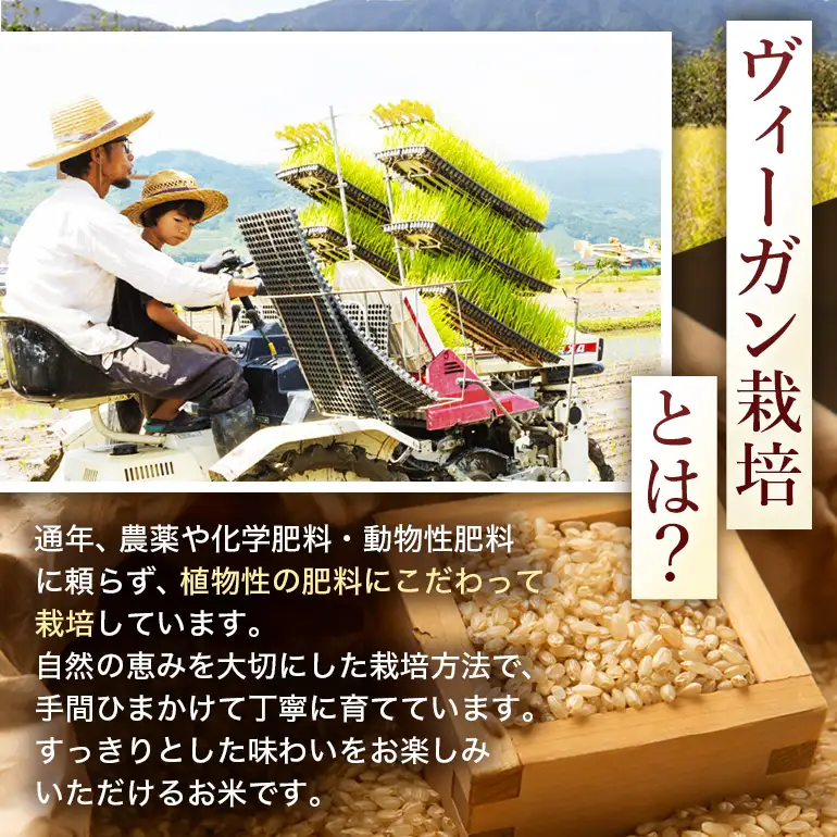 令和8年 新米 玄米 ひのひかり 10kg 3ヶ月定期便 ぶんぶんファーム
