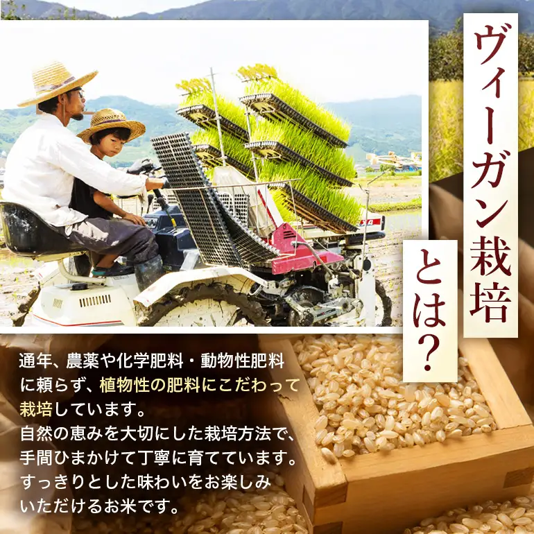 令和8年 新米 白米 ひのひかり 5kg 3ヶ月定期便 ぶんぶんファーム
