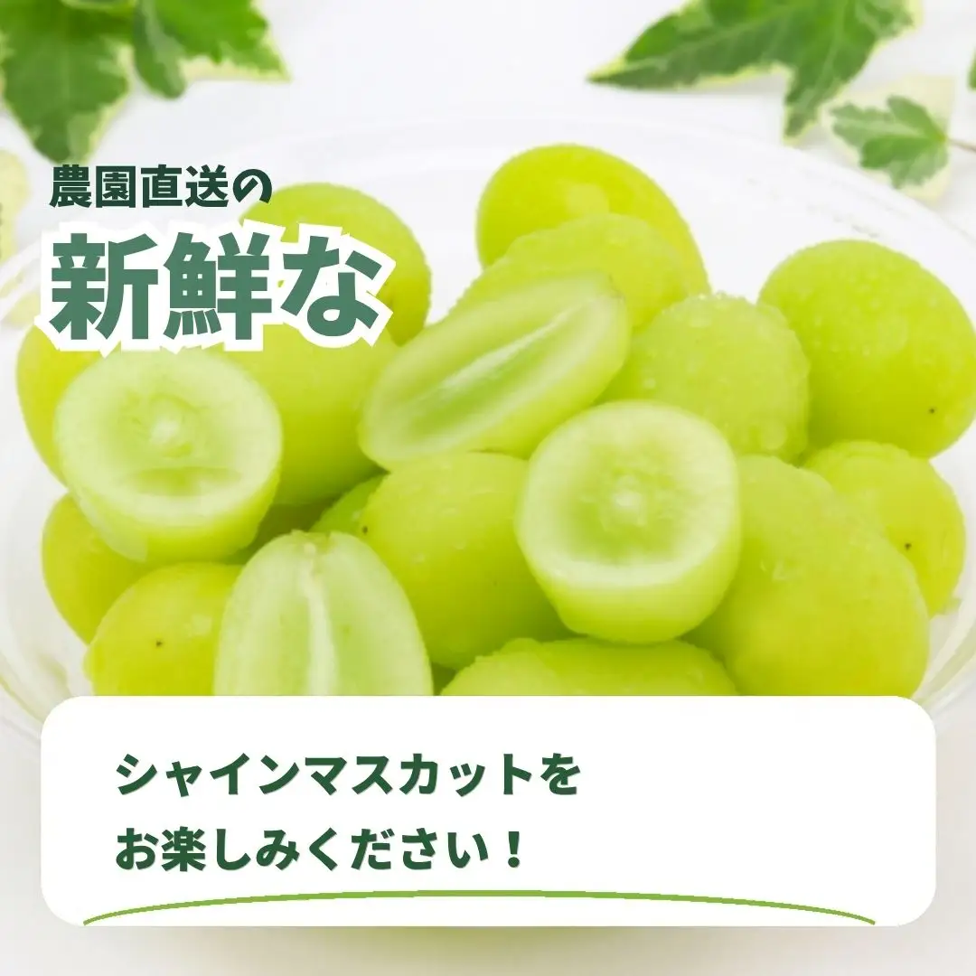 【2027年先行予約】訳ありシャインマスカット1房 (約500g~約600g)｜シャインマスカット