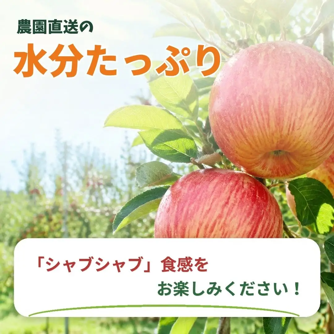しなのスイート 家庭用 約5kg| りんご りんご