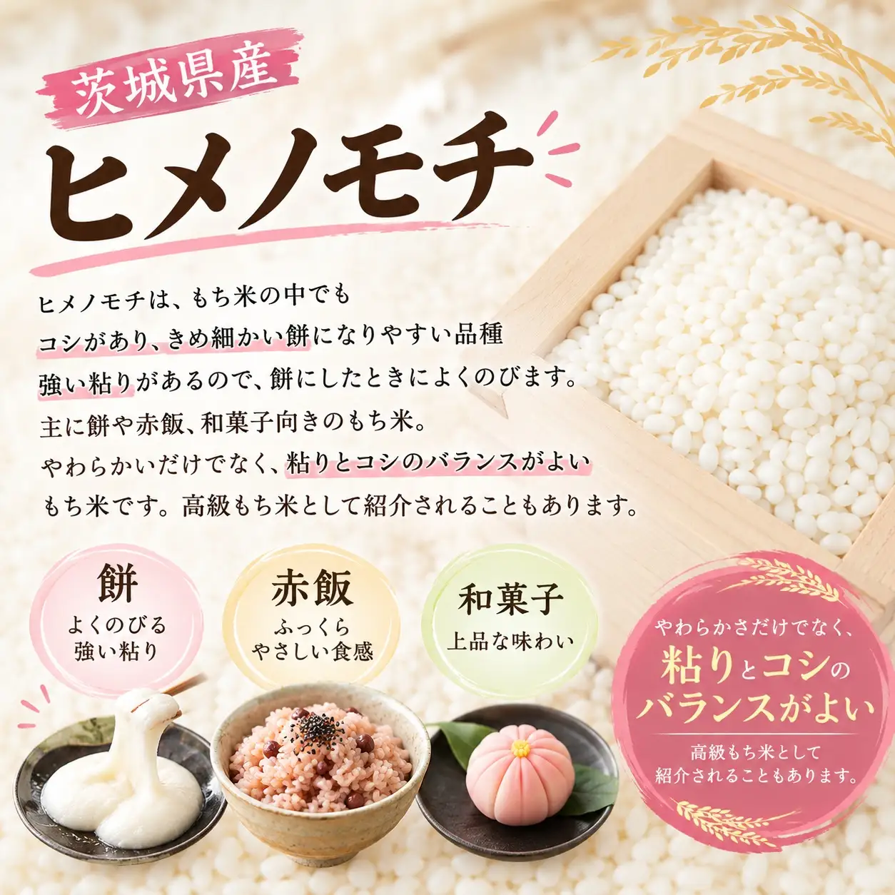 令和8年産 茨城県産 もち米(ひめのもち) 5㎏ 精米 白米 単一原料米 農家 直送 