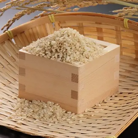 【毎月定期便】あきたこまち慣行栽培精玄米5kg全3回【配送不可地域：離島・沖縄県】【4094208】