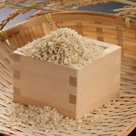 【毎月定期便】あきたこまち慣行栽培精玄米5kg全6回【配送不可地域：離島・沖縄県】【4094209】