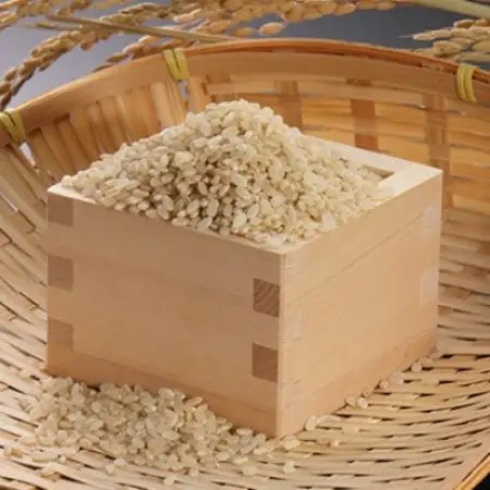 【毎月定期便】あきたこまち慣行栽培精玄米5kg全9回【配送不可地域：離島・沖縄県】【4094210】