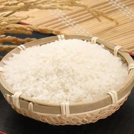 【毎月定期便】あきたこまち特別栽培無洗精米5kg全9回【配送不可地域：離島・沖縄県】【4094270】