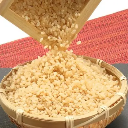 【毎月定期便】あきたこまち特別栽培玄米5kg全12回【配送不可地域：離島・沖縄県】【4094289】