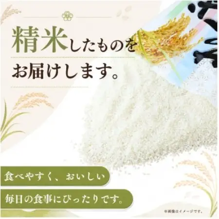 【毎月定期便】お米屋さんのコシヒカリ 精米 5kg(1袋) 全6回【4094328】