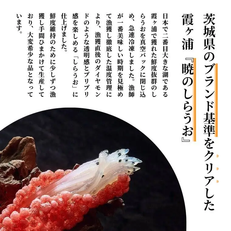 霞ヶ浦　暁のしらうお　約100g×3パック|茨城県 行方市 ふるさと納税 白魚 しらうお 海鮮（GT-5）